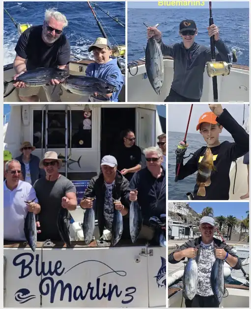 25/04 - Skipjack Tuna - Cavalier & Blue Marlin Sport Fishing Gran Canaria