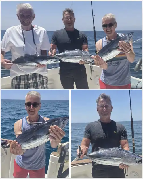 04/05 – Skipjack Tuna - Cavalier & Blue Marlin Sport Fishing Gran Canaria