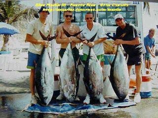Thunfisch mit großen Augen Cavalier & Blue Marlin Sportfischen Gran Canaria