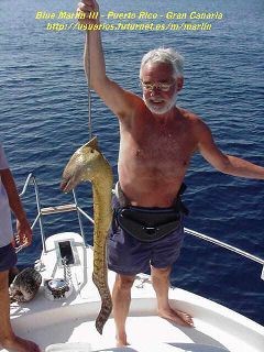 moray eel Cavalier & Blue Marlin Sport Fishing Gran Canaria
