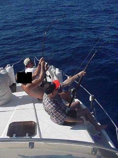 angeschlossen Cavalier & Blue Marlin Sport Fishing Gran Canaria