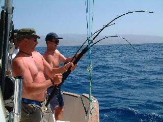 ansluten Cavalier & Blue Marlin Sport Fishing Gran Canaria