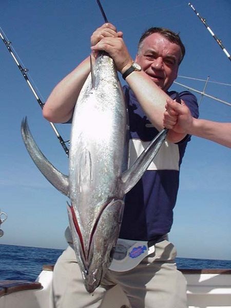 albacore tonfisk Cavalier & Blue Marlin Sport Fishing Gran Canaria