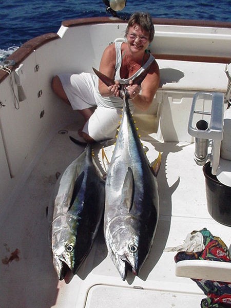 06/03 atún aleta azul Cavalier & Blue Marlin Sport Fishing Gran Canaria