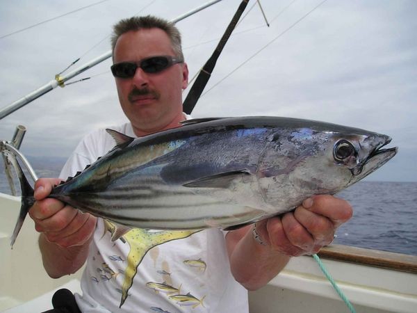 05/05 skipjack tuna Cavalier & Blue Marlin Sport Fishing Gran Canaria