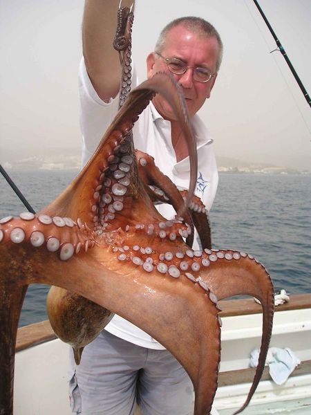 10/03 octopus Cavalier & Blue Marlin Sport Fishing Gran Canaria