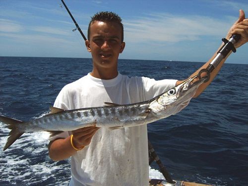 09/04 baracuda Cavalier & Blue Marlin Sport Fishing Gran Canaria