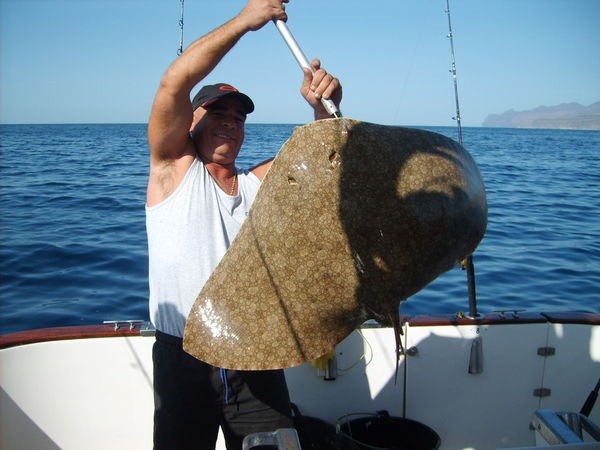 Die letzten drei Tage haben wir nur mit unseren 50 gefischt Cavalier & Blue Marlin Sport Fishing Gran Canaria