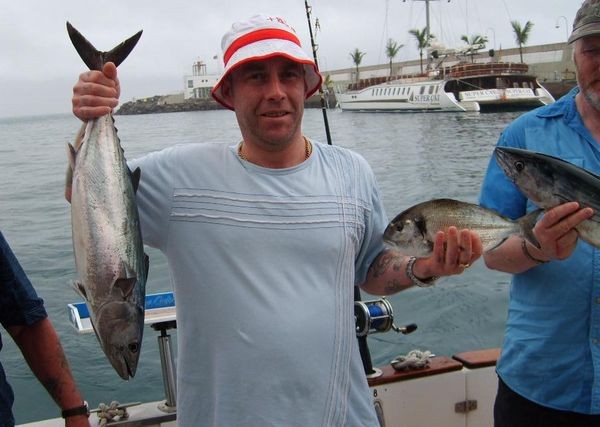 Los últimos años, capturamos en enero muchos buenos Cavalier & Blue Marlin Sport Fishing Gran Canaria