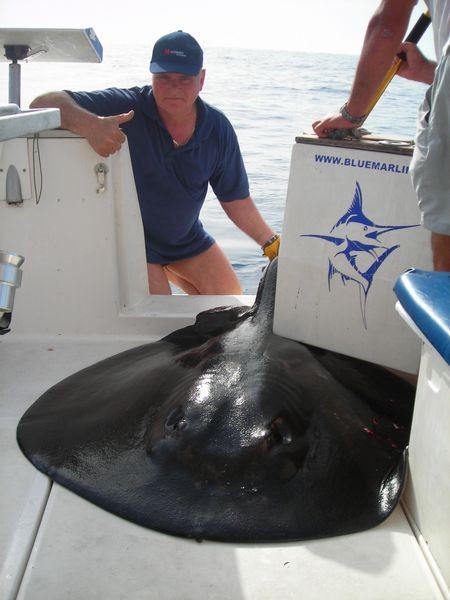 31/07 roughtail stingray Cavalier & Blue Marlin Sport Fishing Gran Canaria