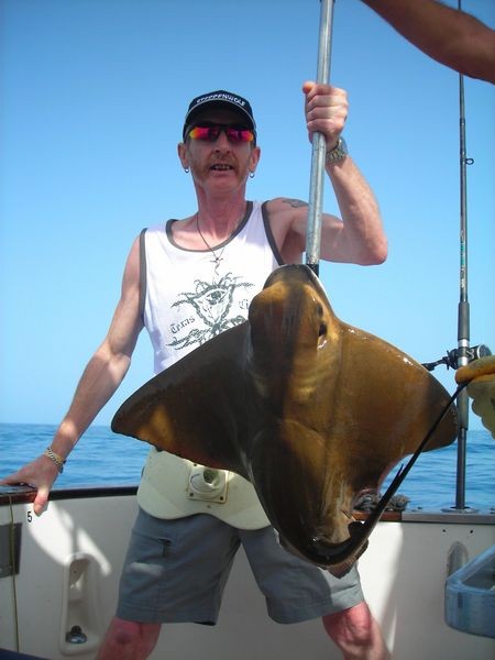 cownose ray Cavalier & Blue Marlin Sport Fishing Gran Canaria