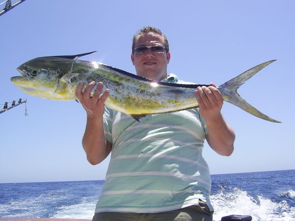 06/08 dorado Cavalier & Blue Marlin Sport Fishing Gran Canaria