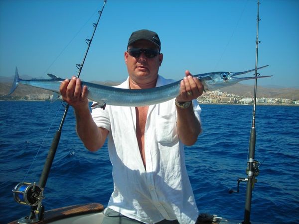 cebolla En la actualidad Una efectiva garfish or garpike - Pesca Deportiva Cavalier & Blue Marlin Gran Canaria