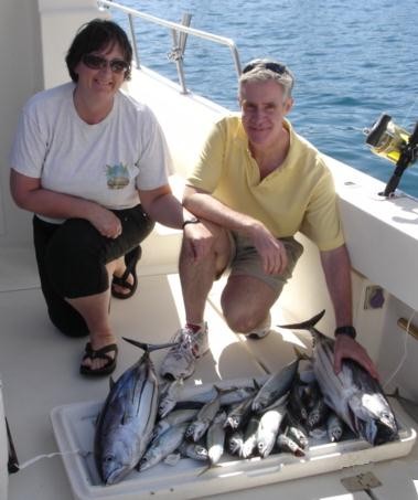 26/02 skipjack tuna & mackerels Cavalier & Blue Marlin Sport Fishing Gran Canaria