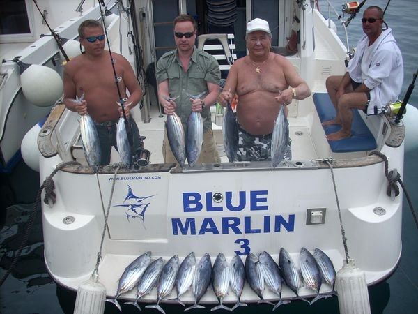 13/04 skipjack tuna's Cavalier & Blue Marlin Sport Fishing Gran Canaria