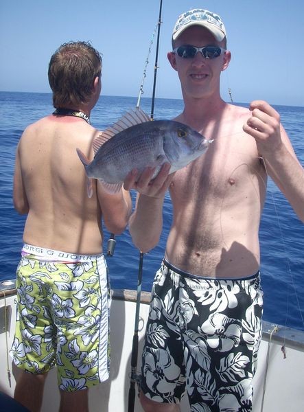 roter Schnappfisch Cavalier & Blue Marlin Sport Fishing Gran Canaria