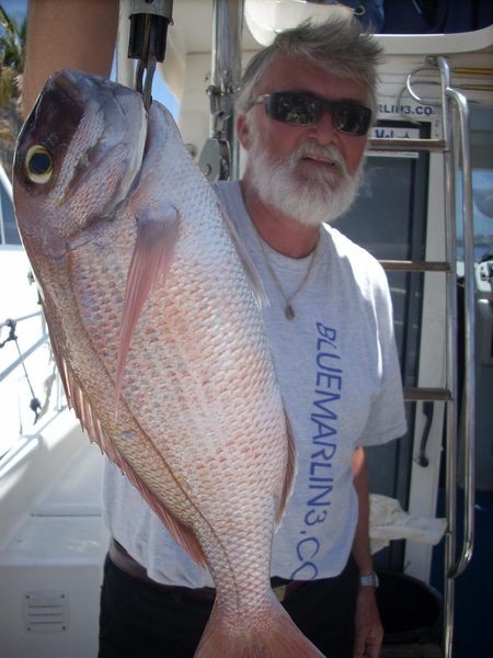 16/04 red snapper Cavalier & Blue Marlin Sport Fishing Gran Canaria