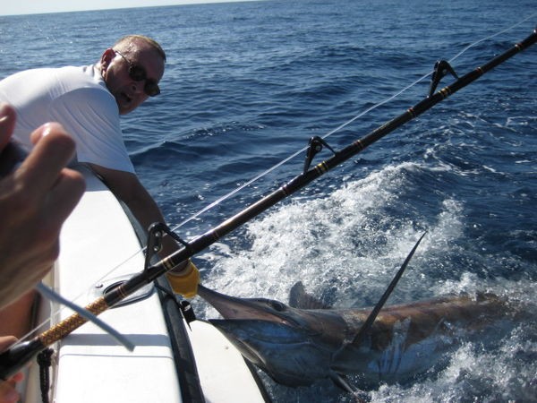 03/09 blue marlin Cavalier & Blue Marlin Sport Fishing Gran Canaria