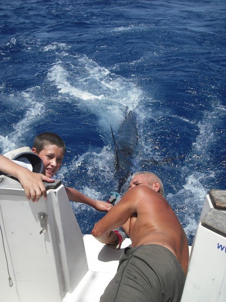 lasse mich los Cavalier & Blue Marlin Sport Fishing Gran Canaria