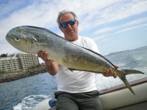 09/01 Dorado Cavalier & Blue Marlin Sport Fishing Gran Canaria