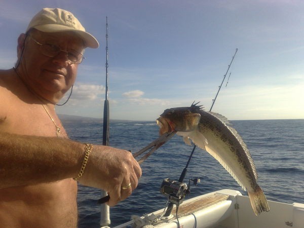 Steaked Weever Cavalier & Blue Marlin Sport Fishing Gran Canaria