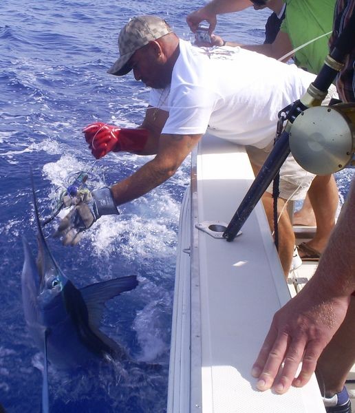 03/06 Spearfish Cavalier & Blue Marlin Sport Fishing Gran Canaria