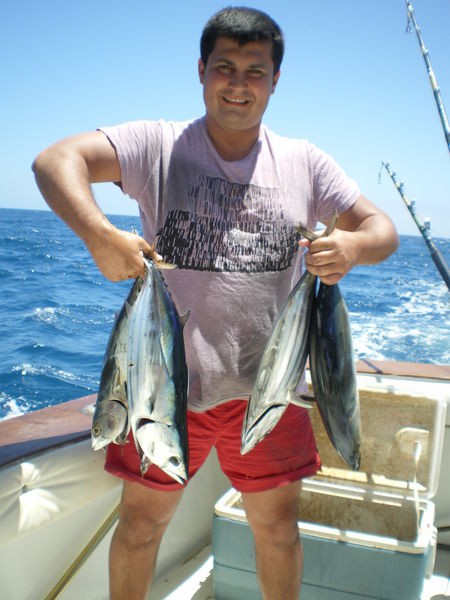 Skipjack Thunfische Cavalier & Blue Marlin Sport Fishing Gran Canaria