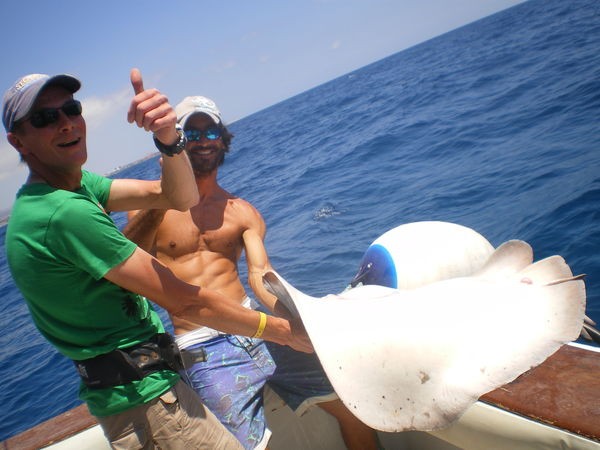 Stingray común Pesca Deportiva Cavalier & Blue Marlin Gran Canaria