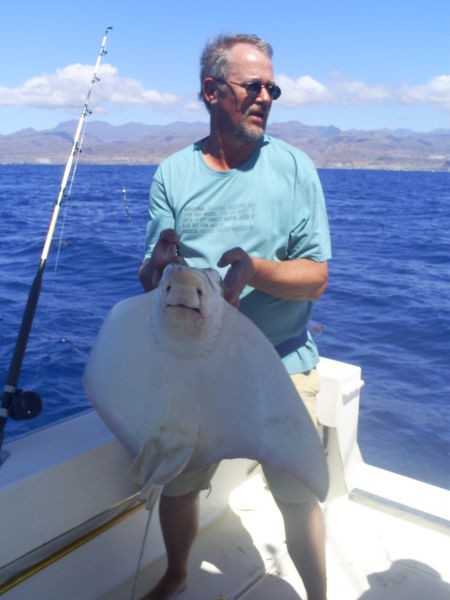 Adlerrochen Cavalier & Blue Marlin Sportfischen Gran Canaria