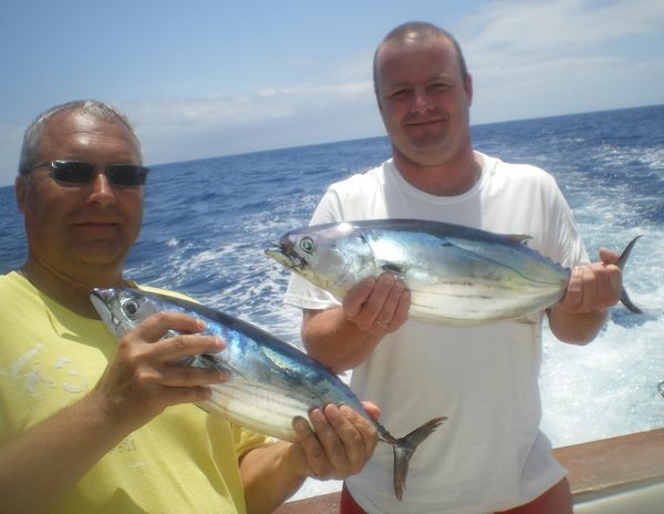 Atún listado Cavalier & Blue Marlin Sport Fishing Gran Canaria