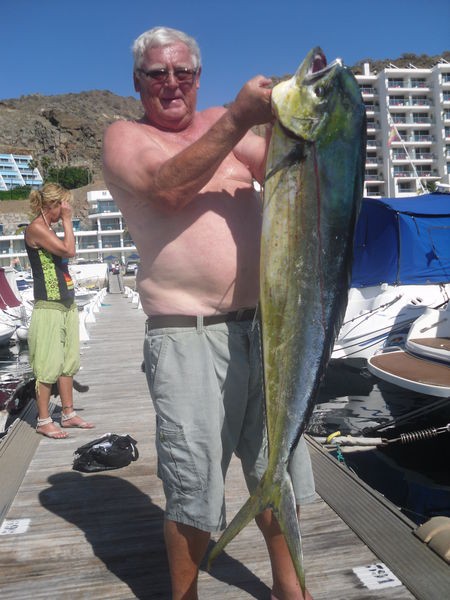09/06 Dorado Cavalier & Blue Marlin Sport Fishing Gran Canaria