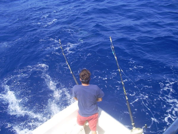 Alvero hooked up Cavalier & Blue Marlin Sport Fishing Gran Canaria