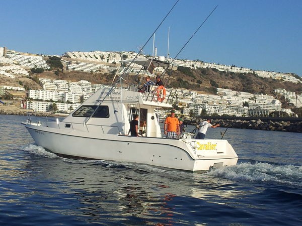 The Cavalier Cavalier & Blue Marlin Sport Fishing Gran Canaria