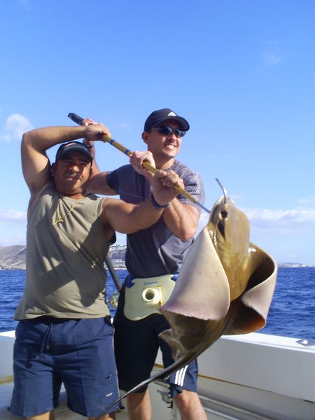 Eagle Ray Cavalier & Blue Marlin Sport Fishing Gran Canaria