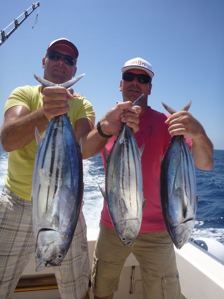 07/09 Skipjack Tunas Cavalier & Blue Marlin Sport Fishing Gran Canaria