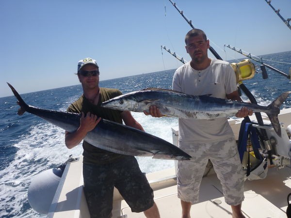 Großer Fang Cavalier & Blue Marlin Sportfischen Gran Canaria