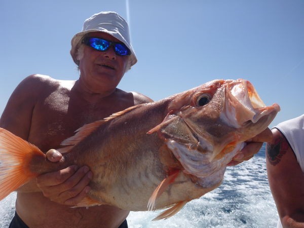 bien hecho Pesca Deportiva Cavalier & Blue Marlin Gran Canaria