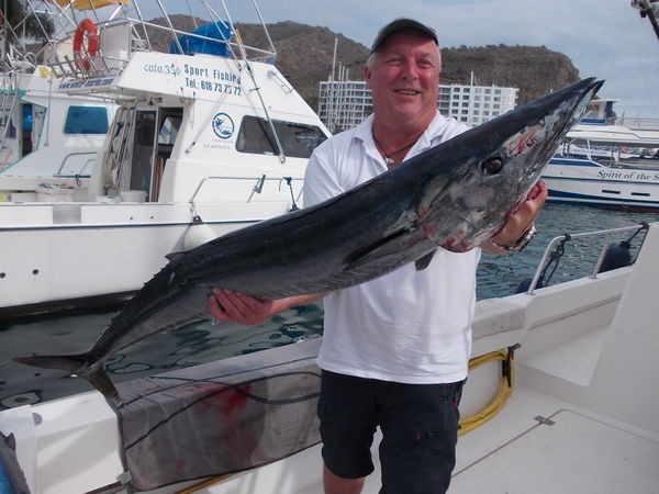 01/11 Wahoo Cavalier & Blue Marlin Sportfischen Gran Canaria