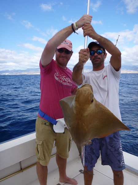 22/11 Eagle ray Cavalier & Blue Marlin Sport Fishing Gran Canaria