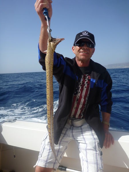 Moary ål Cavalier & Blue Marlin Sport Fishing Gran Canaria