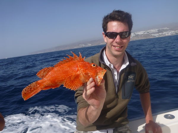 Skorpion eller eldfisk Cavalier & Blue Marlin Sport Fishing Gran Canaria