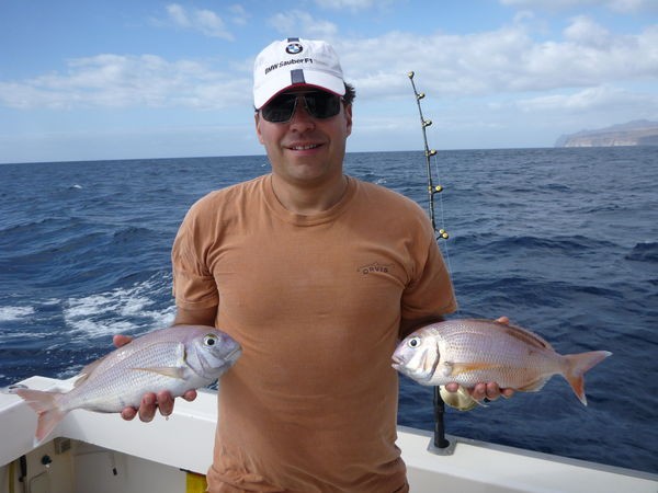 Pargos rojos Pesca Deportiva Cavalier & Blue Marlin Gran Canaria