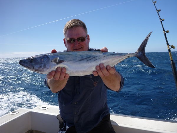 Atlantischer Sierra Thunfisch Cavalier & Blue Marlin Sportfischen Gran Canaria