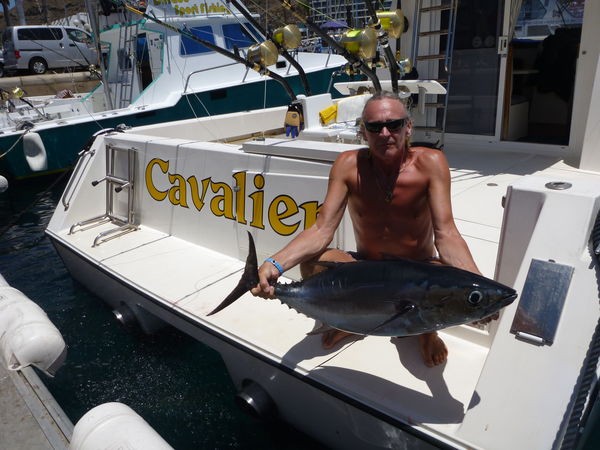 Albacore tonfisk Cavalier & Blue Marlin Sport Fishing Gran Canaria