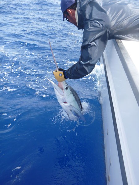 buena atrapada Pesca Deportiva Cavalier & Blue Marlin Gran Canaria