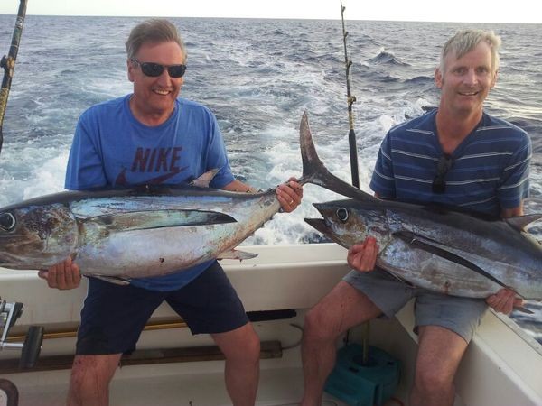Albacore Thunfische Cavalier & Blue Marlin Sportfischen Gran Canaria