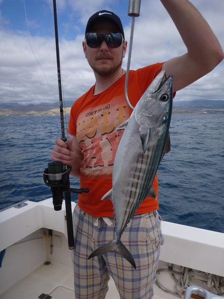 North Atlantic Bonito caught by Marcus Karlsson from Sweden Cavalier & Blue Marlin Sport Fishing Gran Canaria