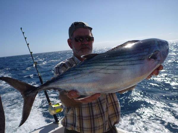 Atlantic Bonito Cavalier & Blue Marlin Sport Fishing Gran Canaria