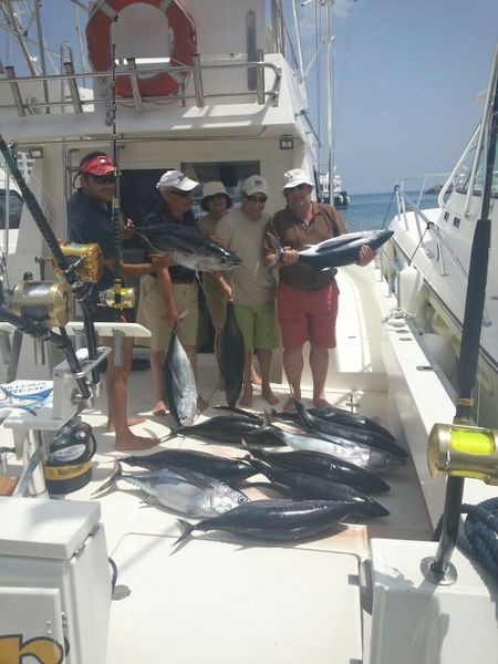 Congratulations - Happy fishermen on the boat Cavalier after a good day of fishing Cavalier & Blue Marlin Sport Fishing Gran Canaria