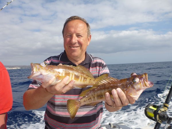 Comber fish - Some nice Combers caught by Clement from Belgium Cavalier & Blue Marlin Sport Fishing Gran Canaria